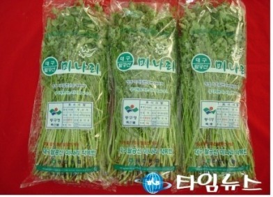 팔공산 청정 미나리로 봄기운 맛보세요!