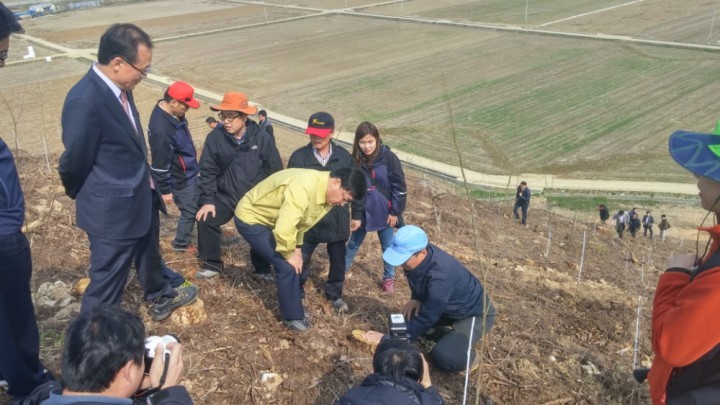 산림청장 구미시 소나무재선충병 사업장 방문