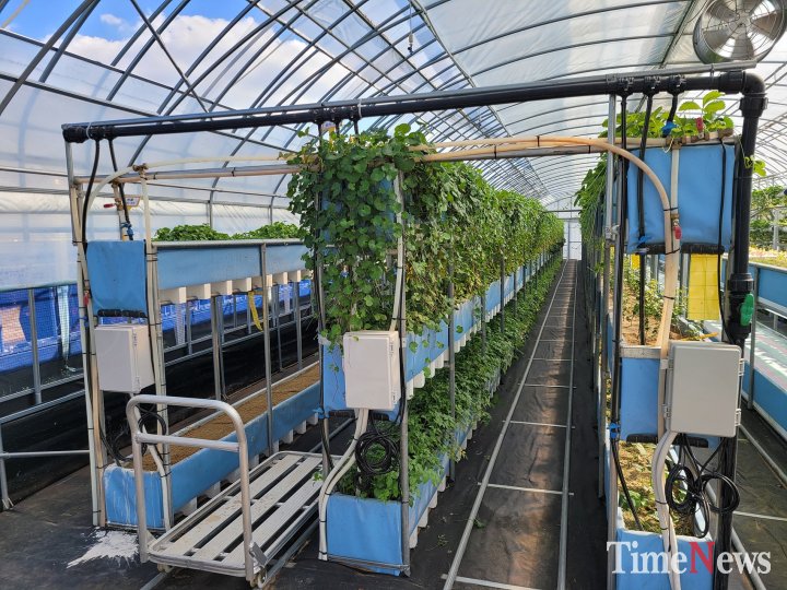 [충북농기원, 수위조절형 다단식 식물재배 장치 현장 보급 확대(다단식 재배 전경)]