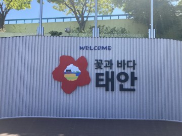 태안 '관광·수산 소멸 해상풍력산업단지 부상' 郡 심벌 교체 공청회 개최.