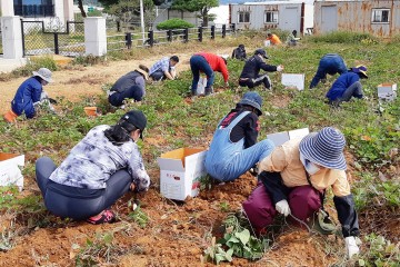 서산시, 귀농·귀촌 교감프로그램 운영 첫발