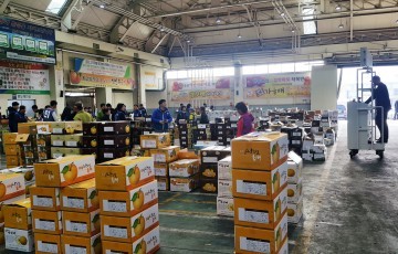 안동 농수산물 도매시장 농산물은 주 2회 수산물은 월 2회 안전검사 철저히 한다