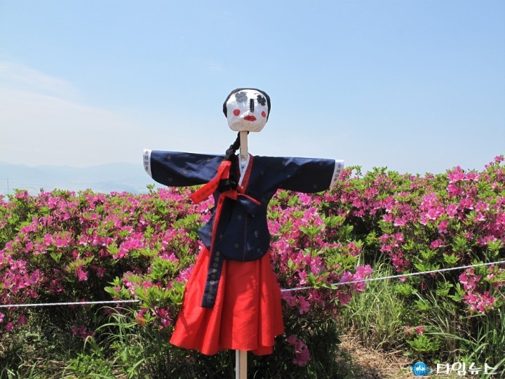 봄봄봄! 철쭉꽃 가득한 신어산으로 오세요