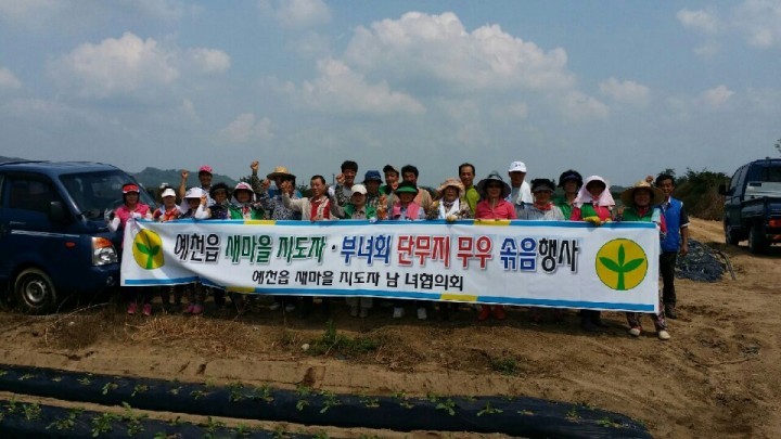  ‛지역사회복지사업 기금마련을 위한 ’ 예천읍새마을회 공동경작지 단무지무 솎음 작업