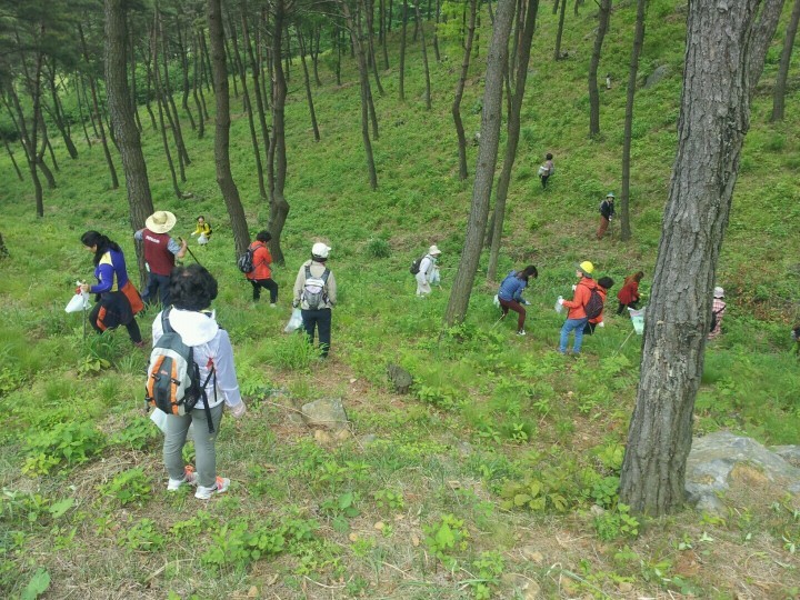 산청 청정산나물 채취 힐링 체험