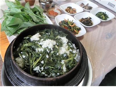 인제군 대표 향토음식 질경이밥 맛보러 오세요!