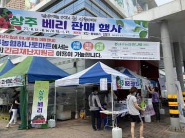 올해 상주 베리 구매는 쇼핑몰 ‘사이소’ 통해
