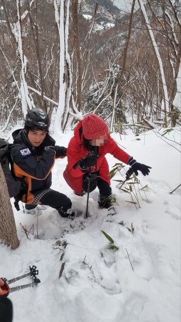 울릉도 성인봉(해발 987m) 안평전 구간 눈속에 파묻힌 등산객 구조