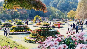 청남대 가을축제 성료, 전국 관람객 13만 명 방문하며 성황