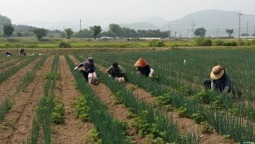 충주시 농가 일손 지원에 앞장