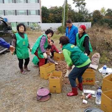  사직1동 새마을부녀회 여름 내 가꿔온  고구마 260kg  독거노인 등에게 전달