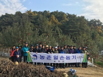 이국호 봉화읍장 하늘리 과수원 대민지원