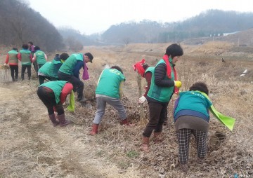 충주시 엄정면 새마을협의회, 무궁화 꽃길 조성