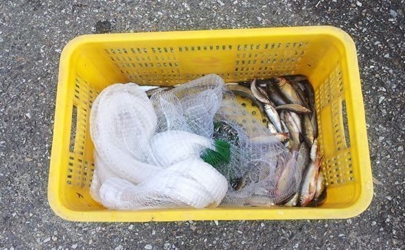 함부로 고기잡다가는 과태료 500만원까지 문다