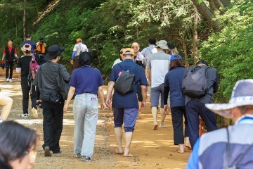 대전 대덕구, 계족산 힐링 맨발걷기대회 개최…중독 회복 공동체 조성