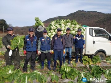 무공수훈자회 충북지부 봉사단, 김장배추 수확 일손돕기에 구슬땀
