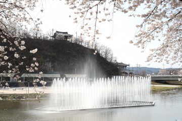 의성군, 남대천 벚꽃축제 맞이 음악분수 운영