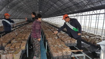 정선군산림조합 산림경영 활성화 기술 지도사업