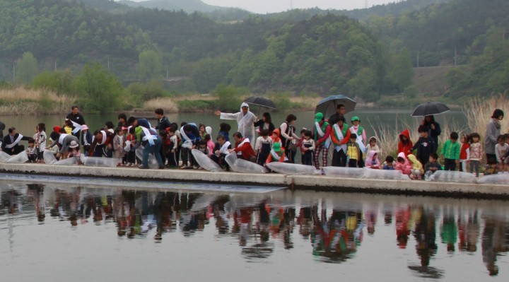 영덕군 황금은어 140만미 방류!