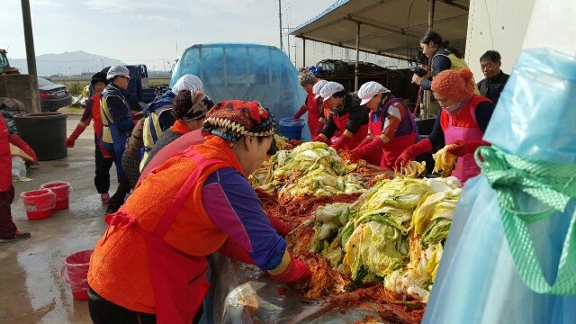 백수읍 어머니봉사대 김장김치 나눔 행사