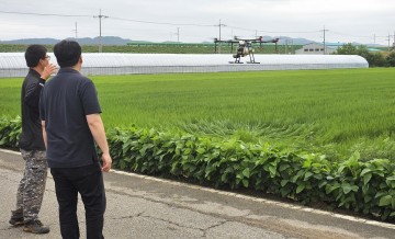 영덕군, 병곡면 벼 병해충 예방 1차 드론 공동방제 시행