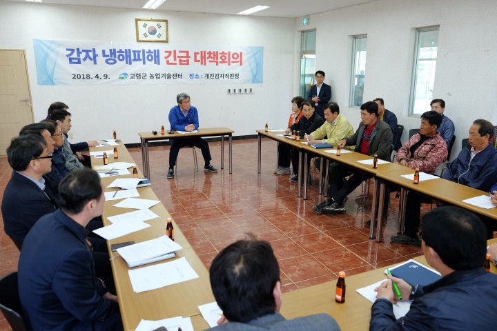 고령군, 감자 냉해 긴급 지원 나서