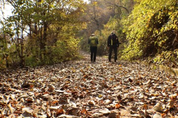 경상북도, 상주·문경 속리산둘레길 국가숲길 지정
