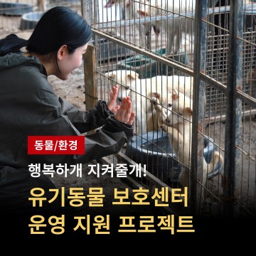 곡성군, ‘열약한 유기동물 보호 여건 개선’ 위한 지정 기부 모금 나서