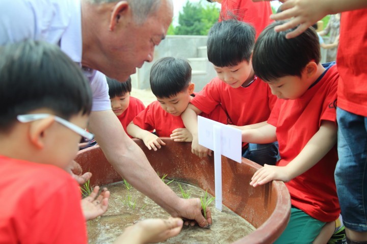 영등포구, 초등학교 친환경 벼농사 체험 진행
