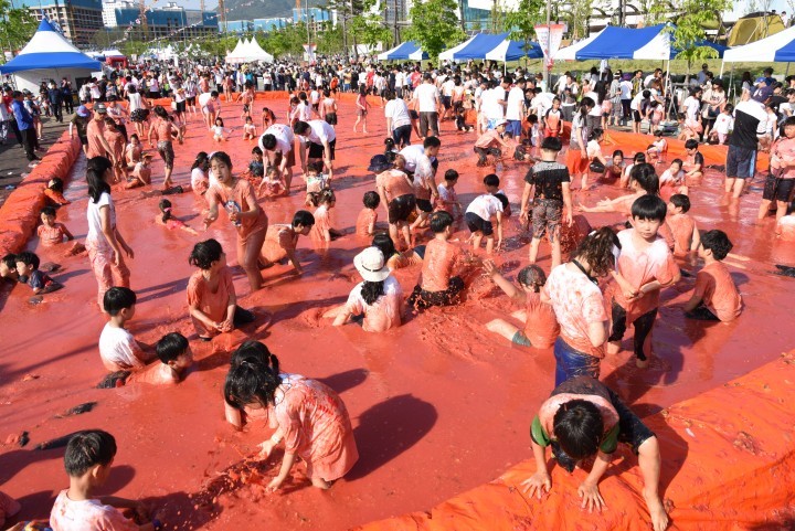  달성 토마토 축제 개최