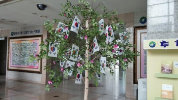 대전 서구,  제72주년 광복절 나라 사랑 태극기 달기 운동 전개