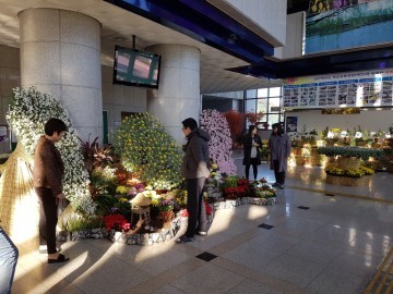 충남교육청, 2017 충남 농업계 특성화고 합동국화전시회 개최