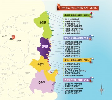 반갑다 여름아, 새 옷 입은 경북바다가 기다렸다