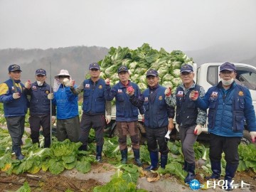 무공수훈자회 충북지부 봉사단, 김장배추 수확 일손돕기에 구슬땀