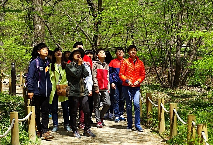 함양군 자연휴양림 주말 무료 숲 체험 ‘인기짱!’