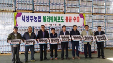 서상주농협 씨가 없고 당도가 높은 델라웨어(포도) 홍콩 첫수출
