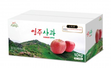 영주시, 영주사과 혁신 성공을 위한 농업인 동참 호소