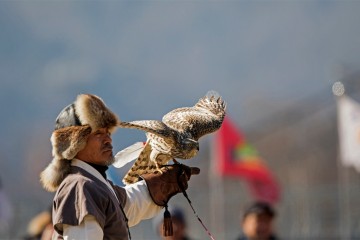 대전시, 6일 무형유산 매사냥 공개 시연…박용순 응사 참매 훈련 첫 공개