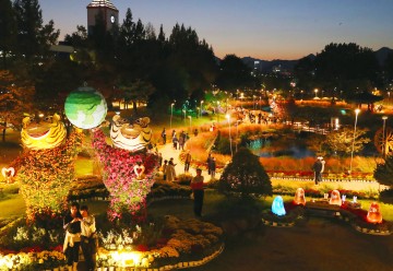 대전 유성구, 국화축제서 ‘작은 결혼식’ 개최…예비부부 3쌍 모집