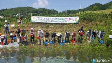 민물 뱀장어 치어 충주∙괴산호 방류