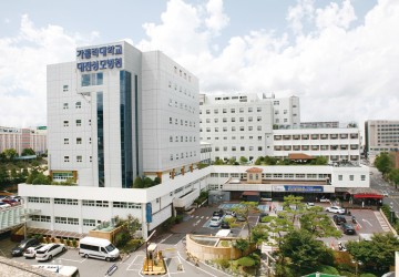 대전성모병원, ‘폐렴적정성평가’ 100점 만점 1등급
