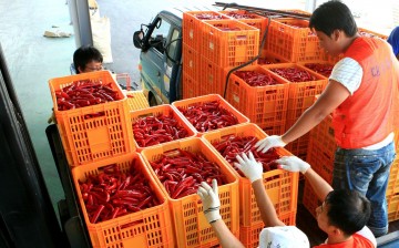  ‘절망 끝의 반등’ 영양군 인구 1만 6천 명 회복… 소멸 위기 뚫고 ‘기적’