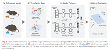 을지대학교 의예과 2학년 김혜원씨, SCIE 저널에 공동1저자로 논문 등재