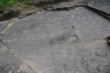 의성지질공원의 지질명소, 제오리·만천리 공룡발자국 국제학술지 논문 게재