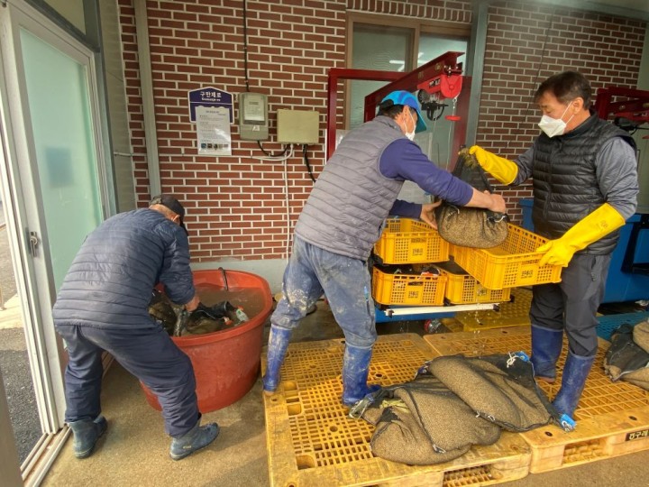 구례군, 볍씨 온탕 소독 지원   