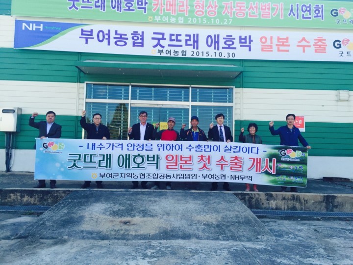 애호박”대일본 처녀수출