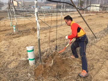 과수재배 농가 나무심기 3월 중·하순경까지 마쳐야 한다