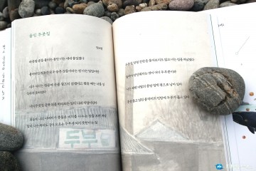 안도현과 전국시인들 울진의 맛과 멋을 노래