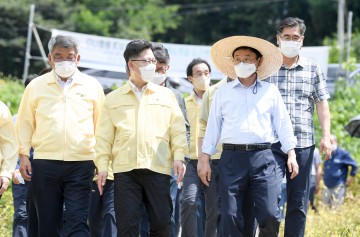 추석 전 과일 수급 및 폭염 피해 대비 현장 점검