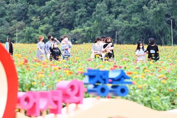 ‘산소카페 청송정원’지역 관광명소로 자리매김